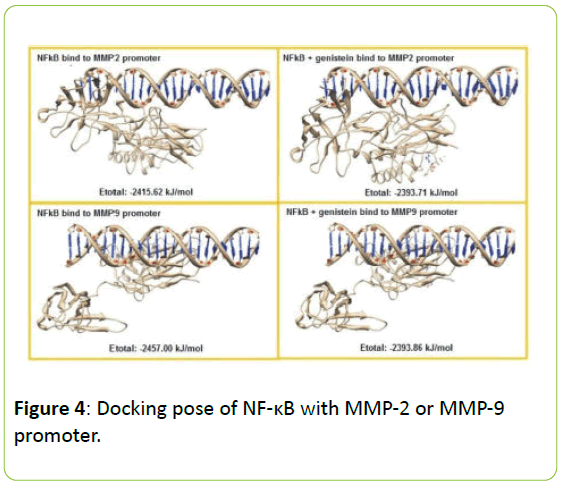 molecular-endocrinology-Docking-pose-NF